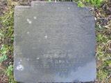 image of grave number 376161